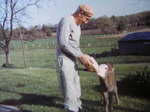 Pearse Hollenbeck 3
